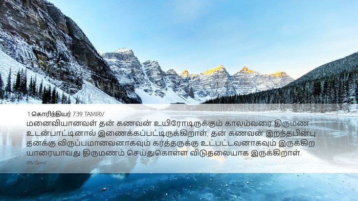 1 கொரிந்தியர் 7:39 TAMIRV Bible Verse Image