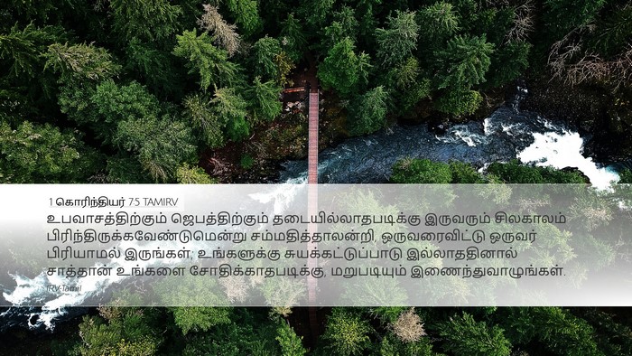 1 கொரிந்தியர் 7:5 TAMIRV Bible Verse Image