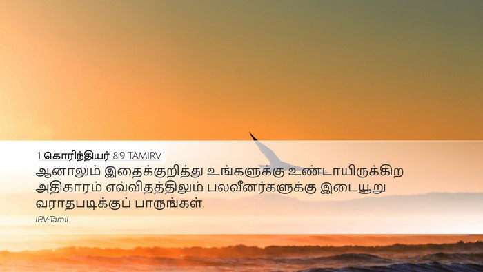 1 கொரிந்தியர் 8:9 TAMIRV Bible Verse Image