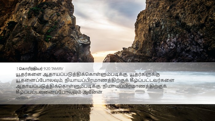1 கொரிந்தியர் 9:20 TAMIRV Bible Verse Image
