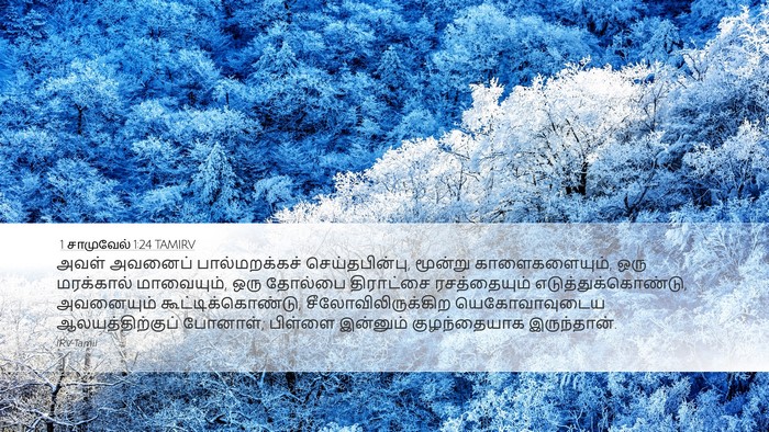 1 சாமுவேல் 1:24 TAMIRV Bible Verse Image