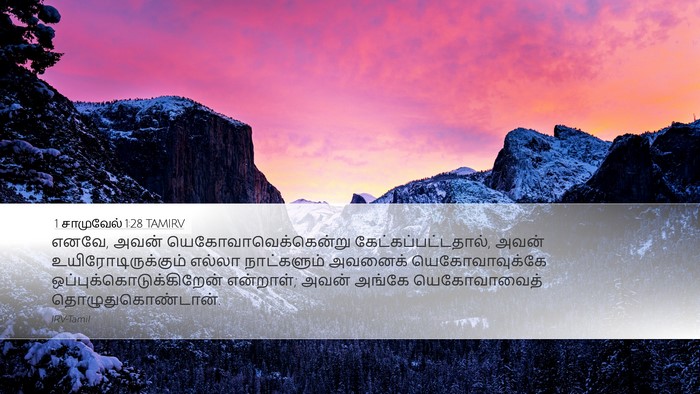 1 சாமுவேல் 1:28 TAMIRV Bible Verse Image
