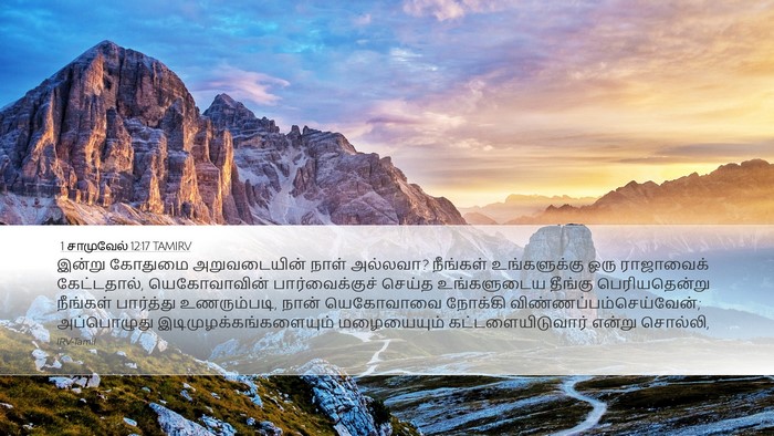 1 சாமுவேல் 12:17 TAMIRV Bible Verse Image
