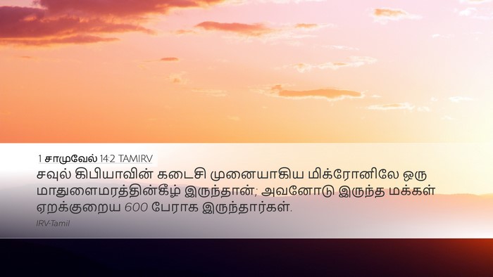 1 சாமுவேல் 14:2 TAMIRV Bible Verse Image