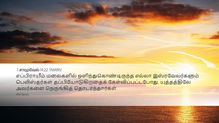 1 சாமுவேல் 14:22 TAMIRV Bible Verse Image