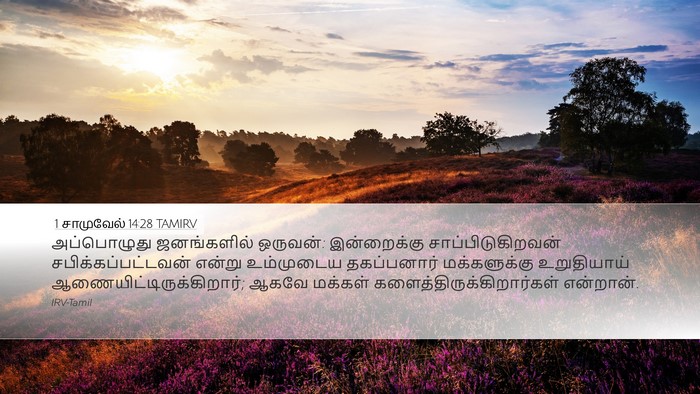 1 சாமுவேல் 14:28 TAMIRV Bible Verse Image