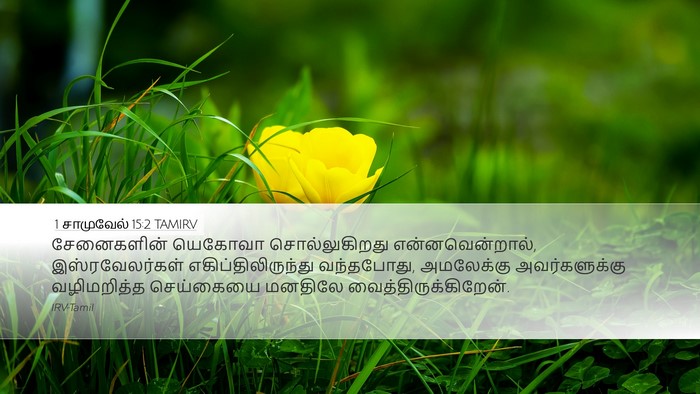 1 சாமுவேல் 15:2 TAMIRV Bible Verse Image