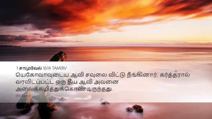 1 சாமுவேல் 16:14 TAMIRV Bible Verse Image