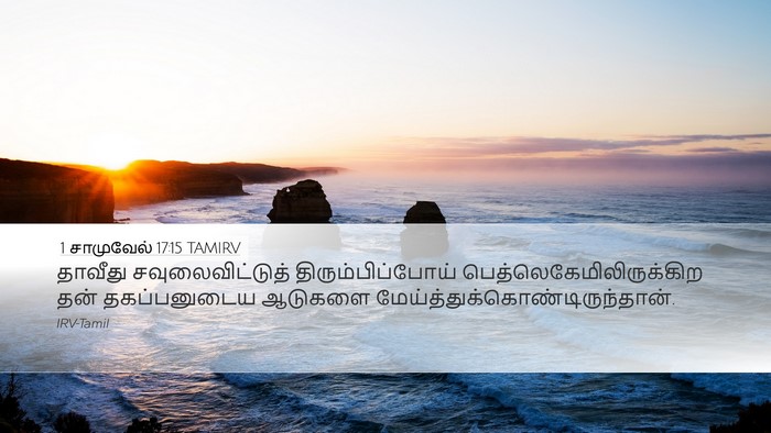 1 சாமுவேல் 17:15 TAMIRV Bible Verse Image