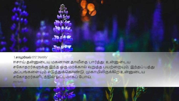 1 சாமுவேல் 17:17 TAMIRV Desktop Wallpaper - ஈசாய் தன்னுடைய - Desktop Bible Verse Wallpaper
