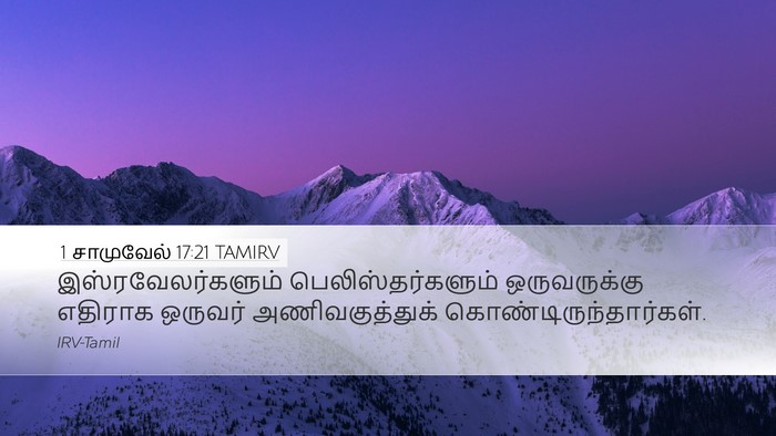 1 சாமுவேல் 17:21 TAMIRV Bible Verse Image