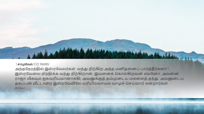 1 சாமுவேல் 17:25 TAMIRV Bible Verse Image