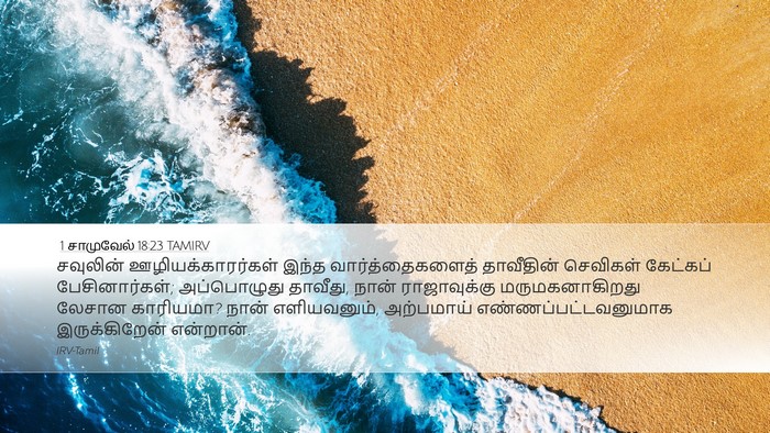 1 சாமுவேல் 18:23 TAMIRV Bible Verse Image