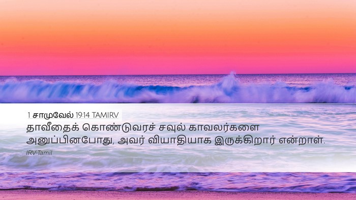 1 சாமுவேல் 19:14 TAMIRV Bible Verse Image