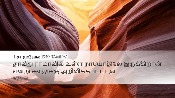 1 சாமுவேல் 19:19 TAMIRV Bible Verse Image