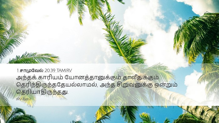 1 சாமுவேல் 20:39 TAMIRV Desktop Wallpaper - அந்தக் காரியம் - Desktop Bible Verse Wallpaper