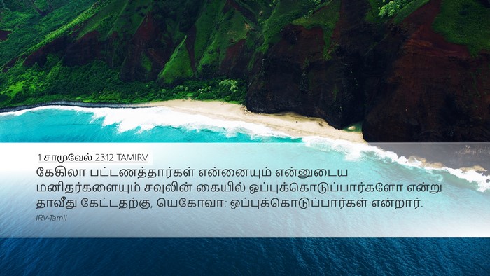 1 சாமுவேல் 23:12 TAMIRV Bible Verse Image