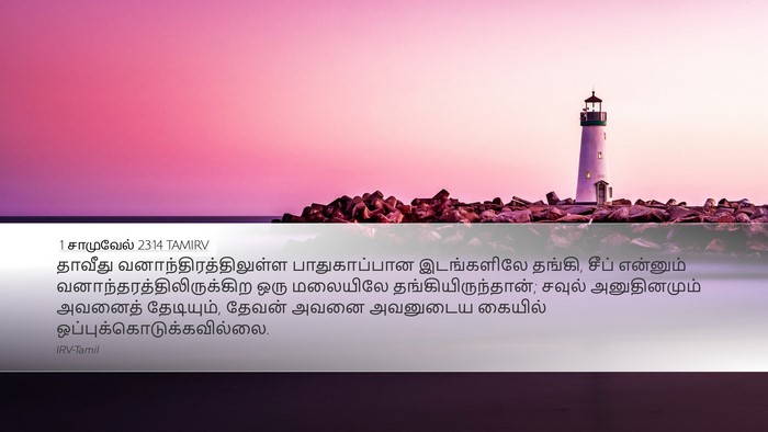 1 சாமுவேல் 23:14 TAMIRV Bible Verse Image