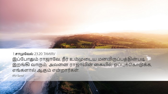 1 சாமுவேல் 23:20 TAMIRV Bible Verse Image