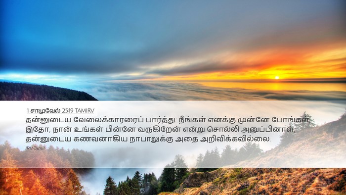 1 சாமுவேல் 25:19 TAMIRV Bible Verse Image