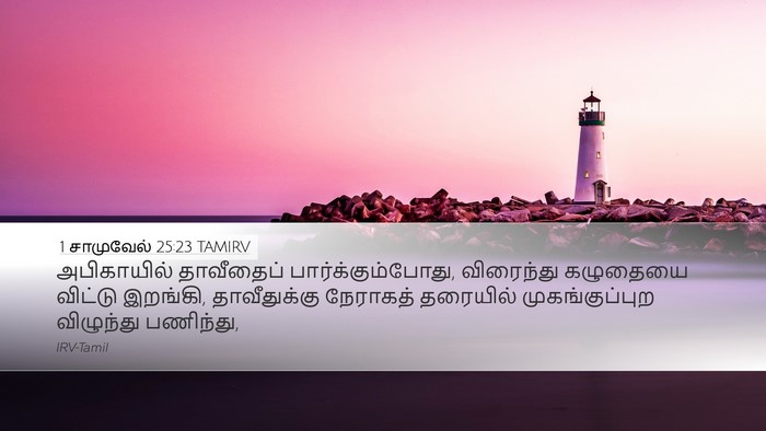 1 சாமுவேல் 25:23 TAMIRV Bible Verse Image
