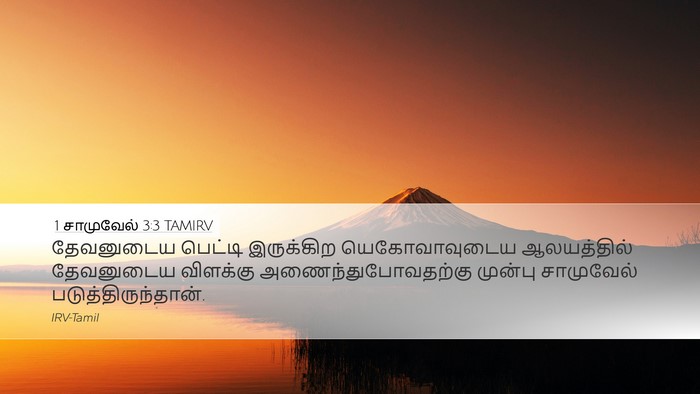 1 சாமுவேல் 3:3 TAMIRV Bible Verse Image