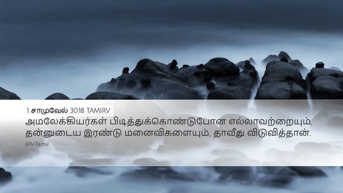1 சாமுவேல் 30:18 TAMIRV Bible Verse Image