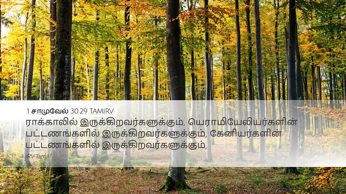 1 சாமுவேல் 30:29 TAMIRV Desktop Wallpaper - ராக்காலில் - Desktop Bible Verse Wallpaper
