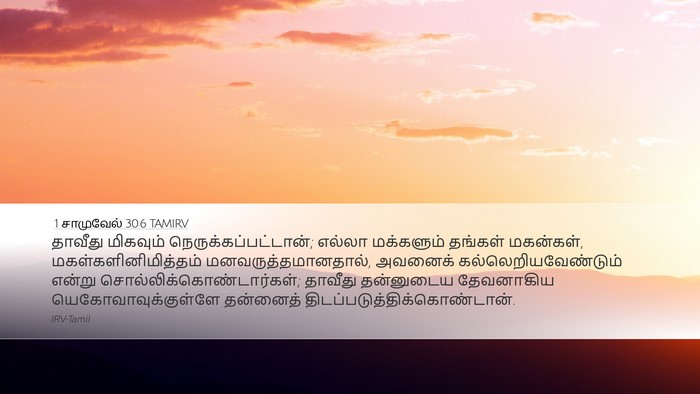 1 சாமுவேல் 30:6 TAMIRV Bible Verse Image