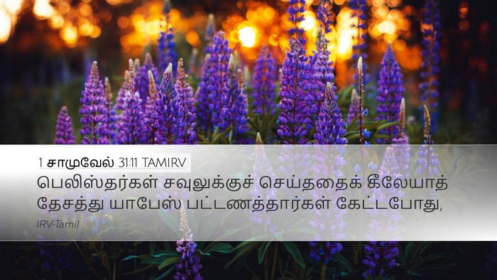 1 சாமுவேல் 31:11 TAMIRV Bible Verse Image