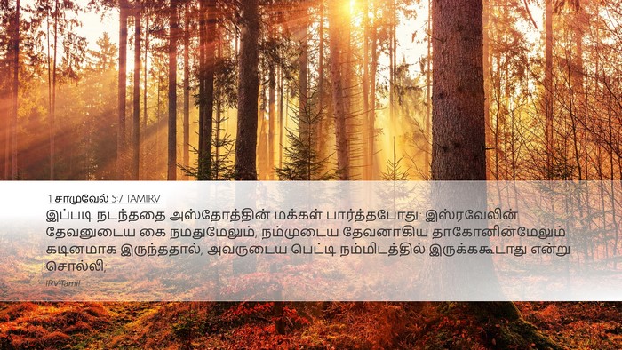 1 சாமுவேல் 5:7 TAMIRV Bible Verse Image