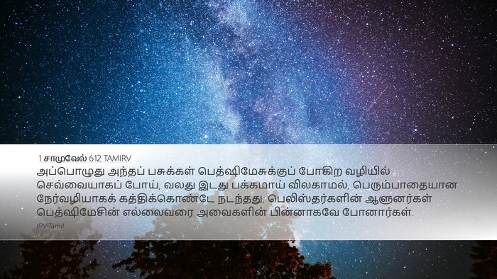 1 சாமுவேல் 6:12 TAMIRV Bible Verse Image