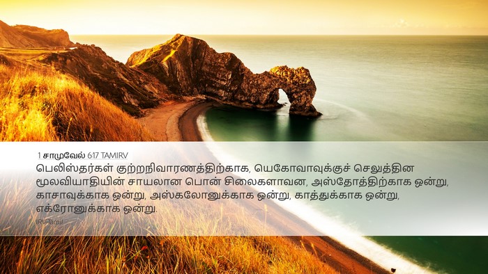 1 சாமுவேல் 6:17 TAMIRV Bible Verse Image