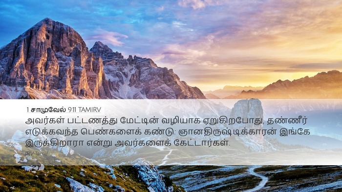 1 சாமுவேல் 9:11 TAMIRV Desktop Wallpaper - அவர்கள் பட்டணத்து - Desktop Bible Verse Wallpaper