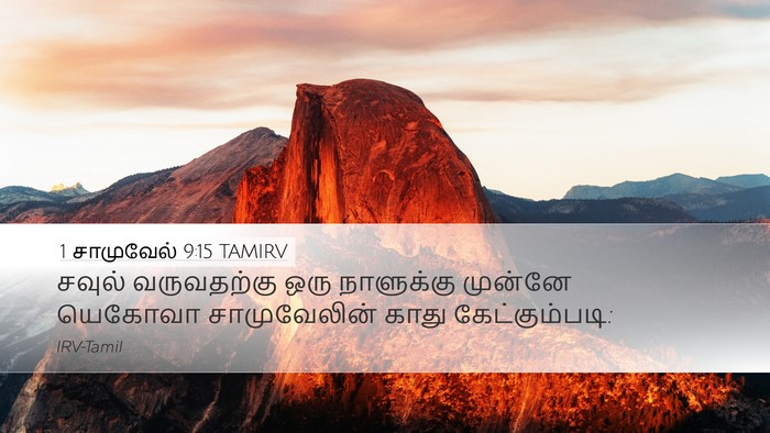 1 சாமுவேல் 9:15 TAMIRV Desktop Wallpaper - சவுல் வருவதற்கு - Desktop Bible Verse Wallpaper