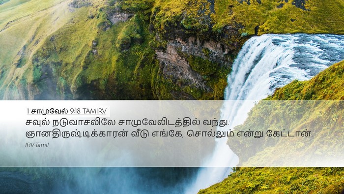 1 சாமுவேல் 9:18 TAMIRV Desktop Wallpaper - சவுல் நடுவாசலிலே - Desktop Bible Verse Wallpaper