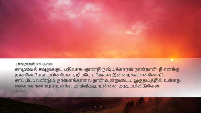 1 சாமுவேல் 9:19 TAMIRV Desktop Wallpaper - சாமுவேல் - Desktop Bible Verse Wallpaper
