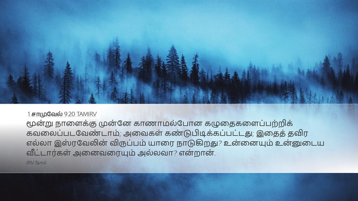 1 சாமுவேல் 9:20 TAMIRV Desktop Wallpaper - மூன்று நாளைக்கு - Desktop Bible Verse Wallpaper