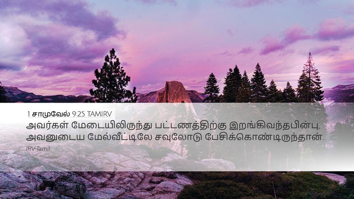 1 சாமுவேல் 9:25 TAMIRV Desktop Wallpaper - அவர்கள் - Desktop Bible Verse Wallpaper