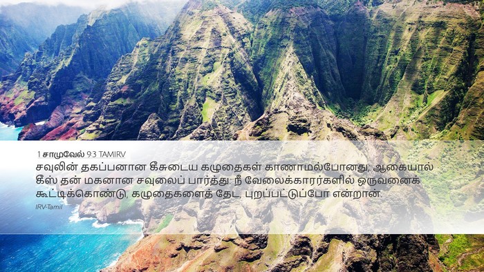 1 சாமுவேல் 9:3 TAMIRV Desktop Wallpaper - சவுலின் தகப்பனான - Desktop Bible Verse Wallpaper