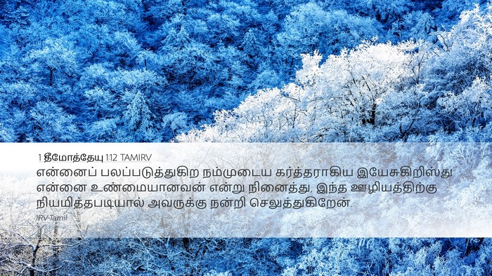 1 தீமோத்தேயு 1:12 TAMIRV Bible Verse Image
