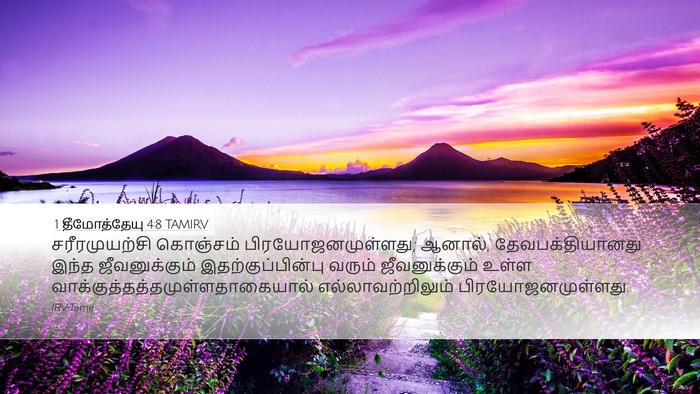 1 தீமோத்தேயு 4:8 TAMIRV Bible Verse Image