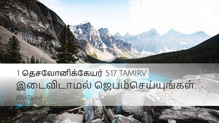 1 தெசலோனிக்கேயர் 5:17 TAMIRV Bible Verse Image