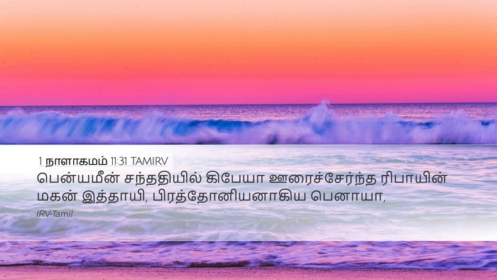 1 நாளாகமம் 11:31 TAMIRV Bible Verse Image