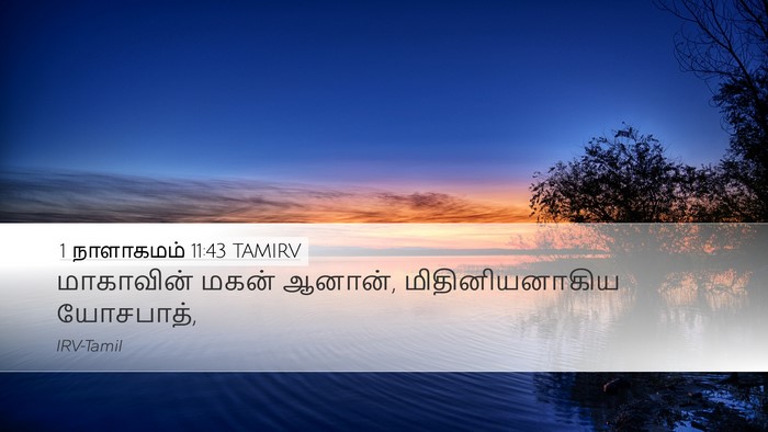 1 நாளாகமம் 11:43 TAMIRV Desktop Wallpaper - மாகாவின் மகன் - Desktop Bible Verse Wallpaper