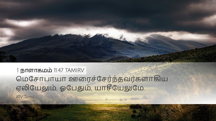 1 நாளாகமம் 11:47 TAMIRV Desktop Wallpaper - மெசோபாயா - Desktop Bible Verse Wallpaper