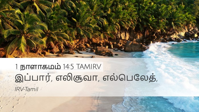 1 நாளாகமம் 14:5 TAMIRV Bible Verse Image