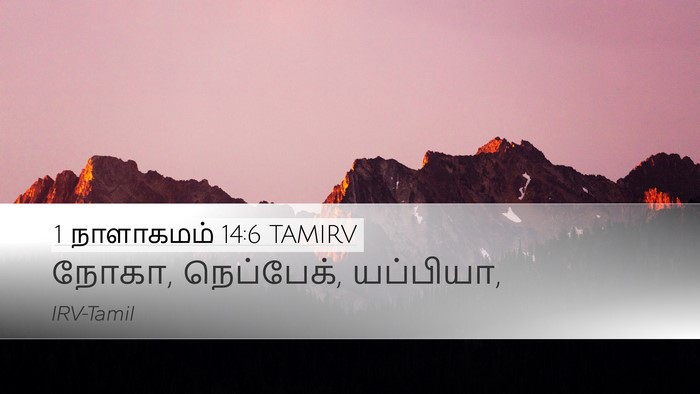1 நாளாகமம் 14:6 TAMIRV Desktop Wallpaper - நோகா, நெப்பேக், - Desktop Bible Verse Wallpaper