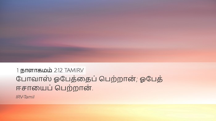 1 நாளாகமம் 2:12 TAMIRV Desktop Wallpaper - போவாஸ் ஓபேத்தைப் - Desktop Bible Verse Wallpaper