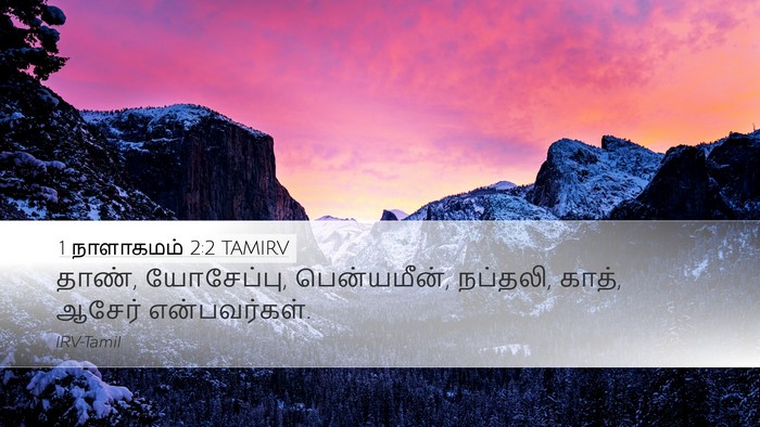 1 நாளாகமம் 2:2 TAMIRV Desktop Wallpaper - தாண், யோசேப்பு, - Desktop Bible Verse Wallpaper